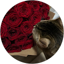 Syakila profile picture